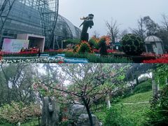 -南山植物园