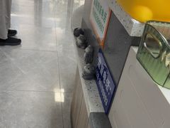 -半岛宠物医院24小时(白果林店)
