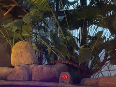 -郑州银基黄帝宫御温泉