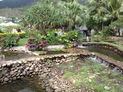 花池-三亚亚龙湾凯莱仙人掌度假酒店