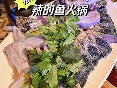 -红牌美蛙鱼头火锅(万辉国际广场店)