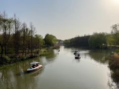 -自然谷恐龙园