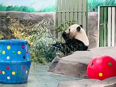 -安吉竹博园