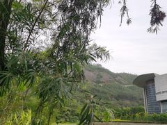-龙江公园