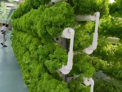 -兰陵国家农业公园