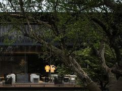 -伴山茶苑·围炉煮茶
