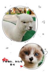 -萌宠亲子动物乐园(槐房万达店)