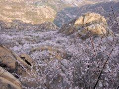 -北京凤凰岭