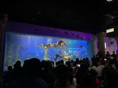 -梦幻海洋王国(吾悦广场张家港店)