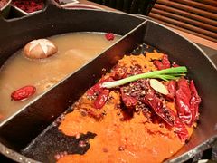 -大龙燚·旷野鲜火锅(广州首店)