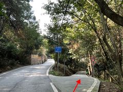 -南山植物园
