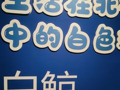 -正佳极地海洋世界
