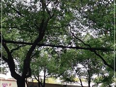 -樱花糕坊(万松园店)