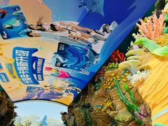-珠海长隆海洋王国