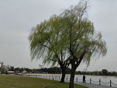 -上海月湖雕塑公园