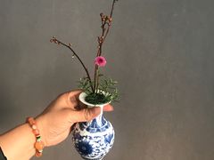 -荷兰布尔玛国际花艺学院