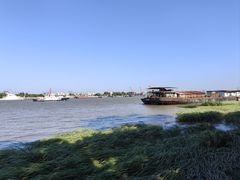 -上海共青森林公园