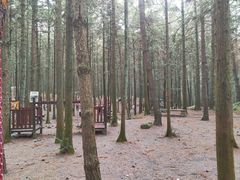 -重庆睡佛山森林公园