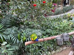 -南宫五洲植物乐园