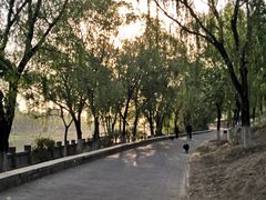 -健康路夜市