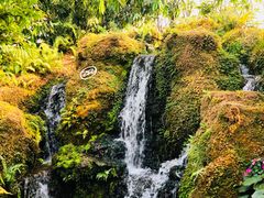 -Chom Cafe and Restaurant