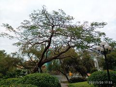 -荔枝公园(福田区)