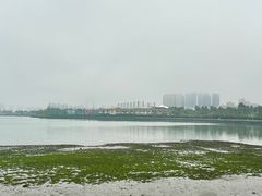 -万绿园
