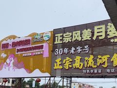 -正宗高流河饭店原创风姜鸡