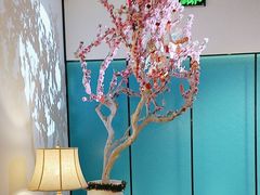 -周渝食惦·酸菜鱼精致川菜(横岗店)