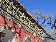 -沈阳市东陵公园