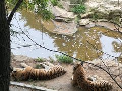 -大连森林动物园