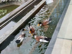 -扬州瘦西湖汇金酒店