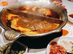 -九鼎轩脆毛肚火锅(三钢里店)