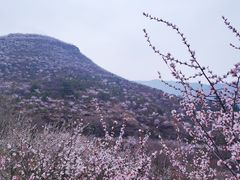 -妙峰山风景名胜区