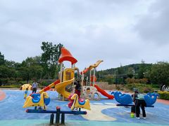 -铁山坪森林公园