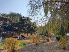 -丁香湖公园