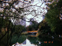 -青枫公园