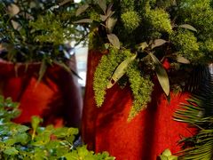 -凤来栖·净庭院·火锅(欧尚店)