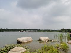 -泗洪洪泽湖湿地景区