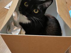 -EnergyCake蛋糕理想国