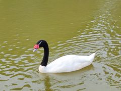 -鄱阳湖国家湿地公园