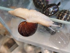 -三旗百汇商品城