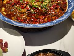-新概念来凤鱼(璧山店)