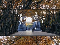 -蠡湖中央公园