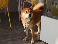 -五进制 Coffee Shop