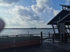 -溱湖国家湿地公园