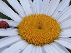 -唐城墙遗址公园