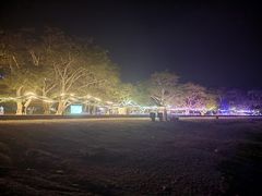 -抚仙湖禄充风景区