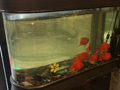 -知足堂养生会所(碑亭巷店)