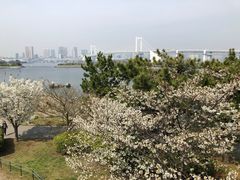 -台场海滨公园船码头